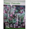 Rostrinucula dependens 'Happy Cascade' ®