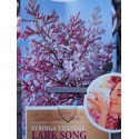 Syringa prestoniae x 'Lark Song'